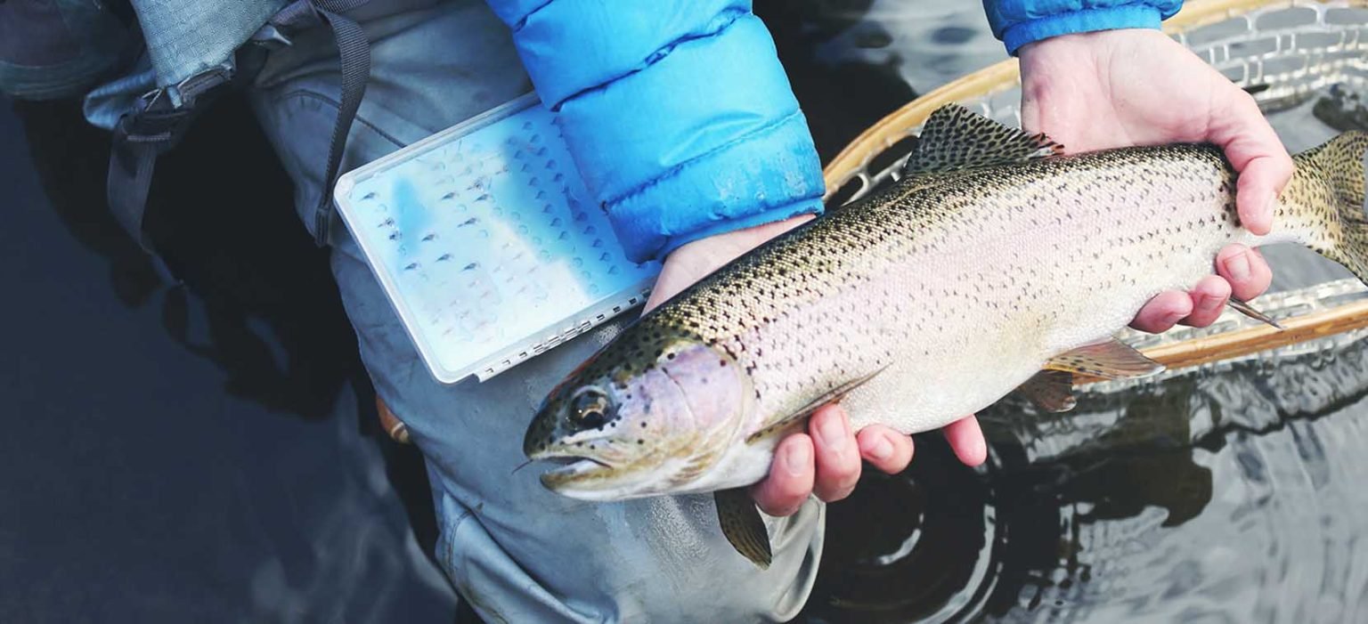 FishOff Fishing Hand Wipes Aricare